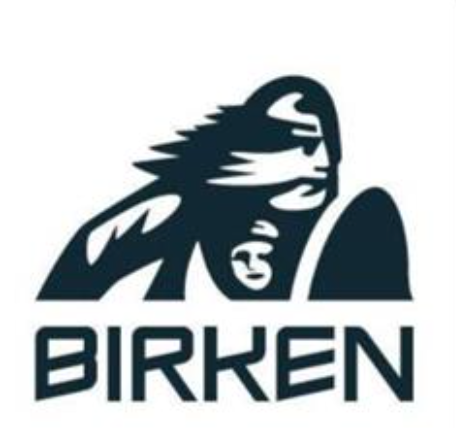 Birkebeiner Skilanglauf Rennen 2025