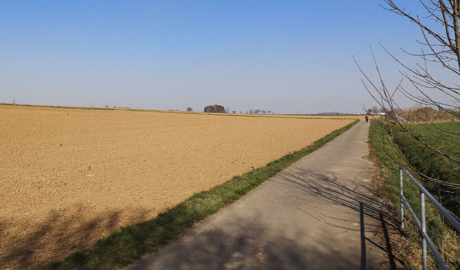 Skirollerstrecke Weil der Stadt
