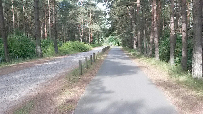 Skiroller fahren an der Ostsee