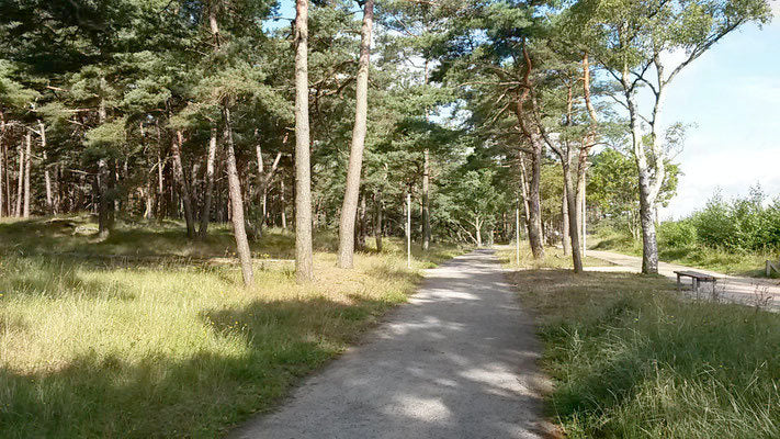 Cross Skating Strecke an der Ostseeküste auf Rügen